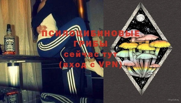 ГАЛЛЮЦИНОГЕННЫЕ ГРИБЫ Балабаново
