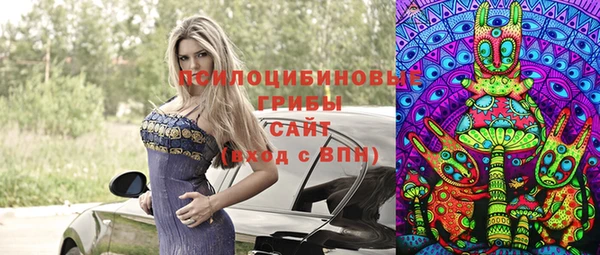 ГАЛЛЮЦИНОГЕННЫЕ ГРИБЫ Балабаново