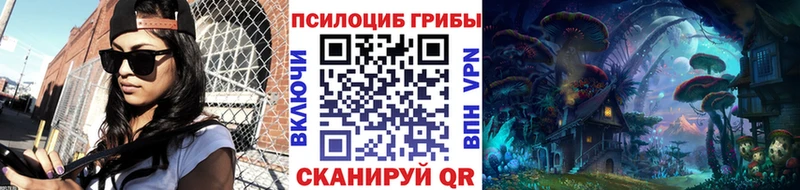 магазин продажи наркотиков  Пласт  Псилоцибиновые грибы Magic Shrooms 