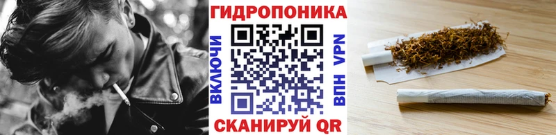 Шишки марихуана MAZAR  Пласт 